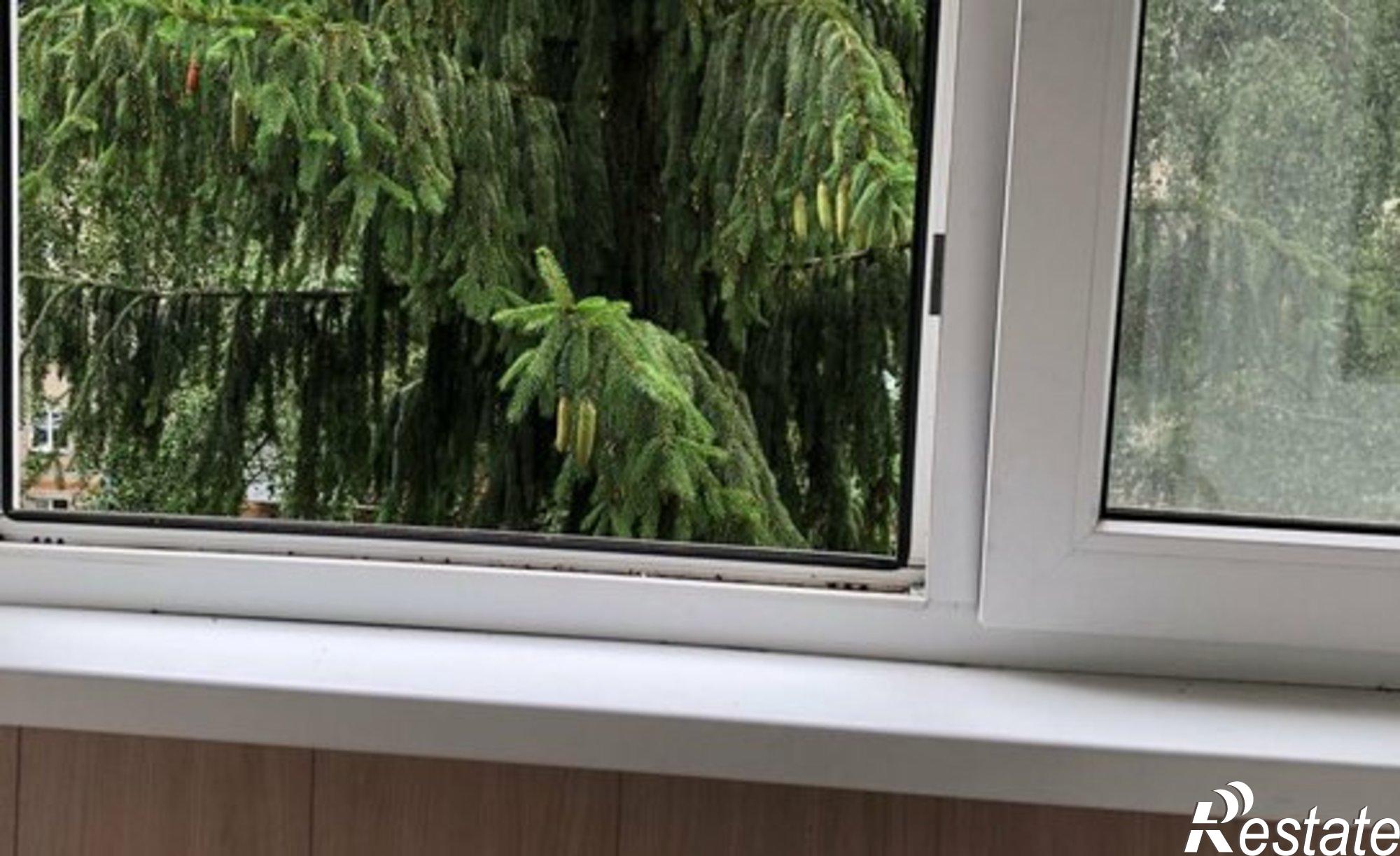 Купить квартиру за 3 800 000 рублей на улица Мичмана Павлова, 3