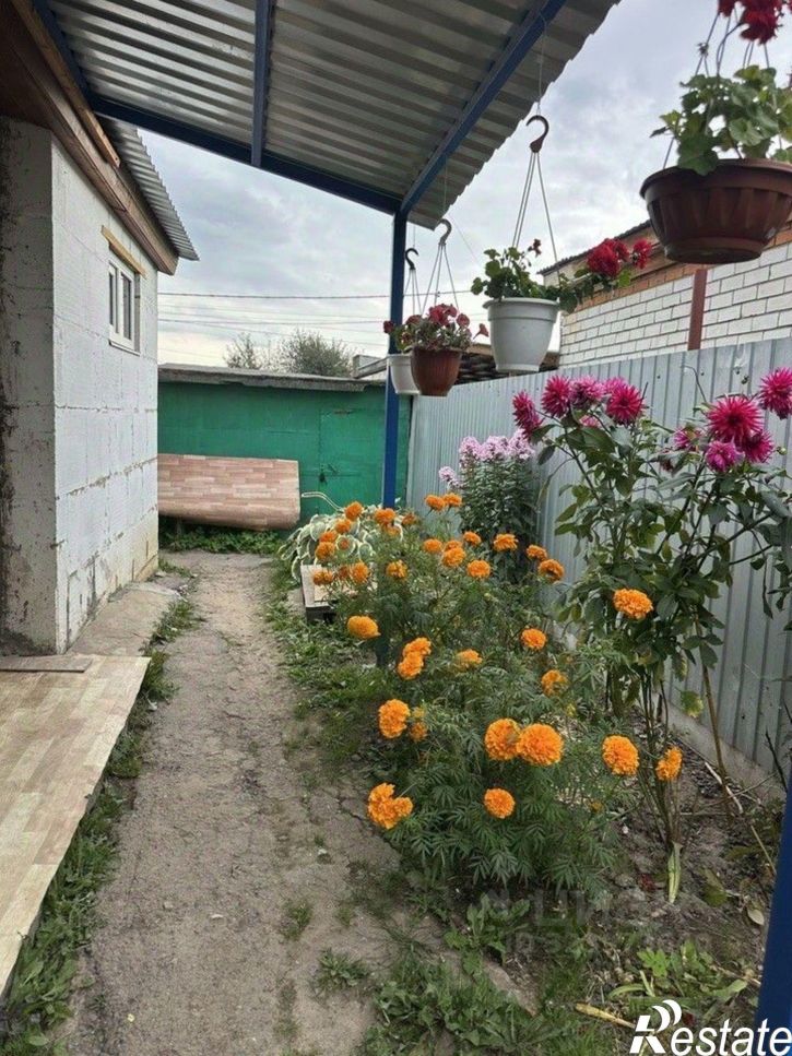 1-комн квартира ул Бродского, 13,  д. 13