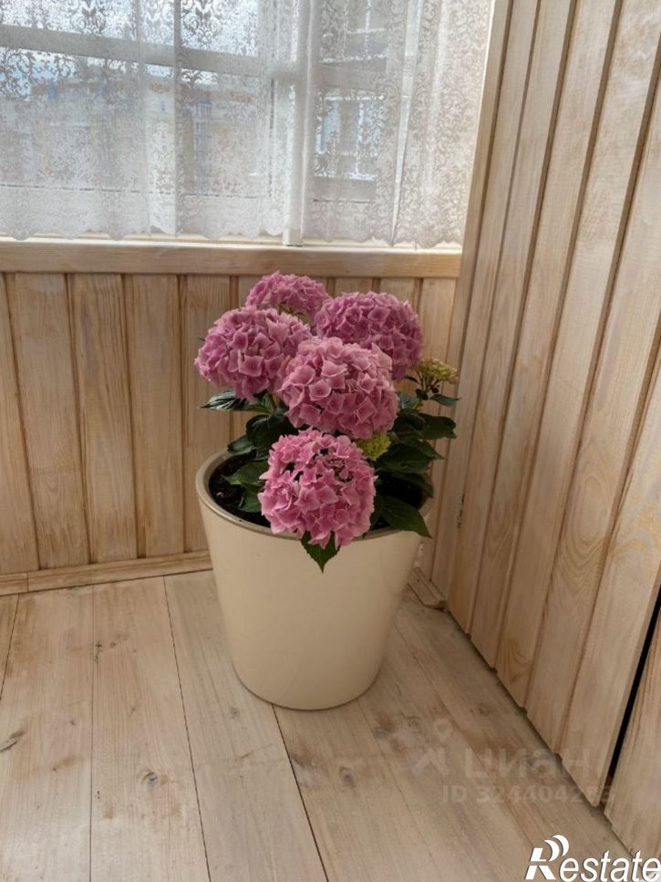 3-комн квартира ул Петра Ермолаева, 5,  д. 5