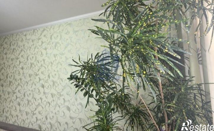 1-комн квартира Эгерский б-р, 53,  д. 53