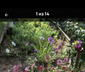 земля 4.9 сот улица Кочубея, 31