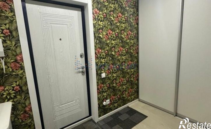 1-комн квартира ул Петрова, 9 1,  д. 9 1,  к. 1