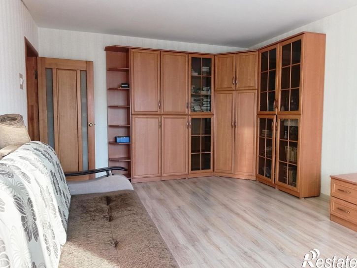 2-комн квартира Мичмана Павлова улица,76