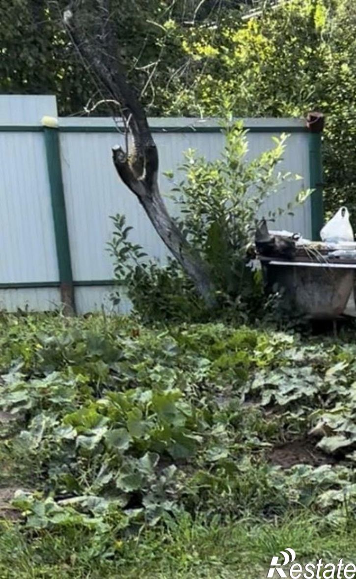 Земельный участок Еловая улица