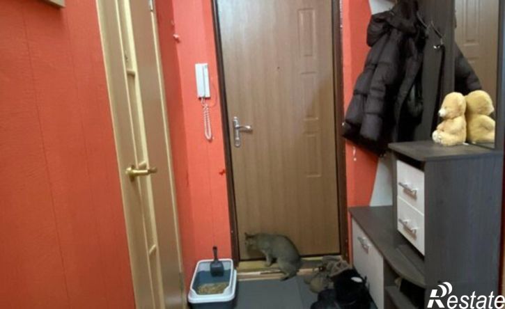 1-комн квартира ул Мичмана Павлова, 34,  д. 34