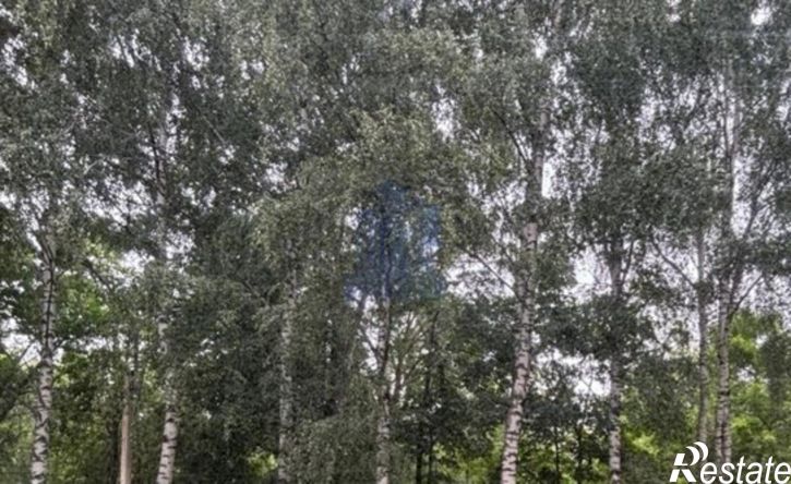 1-комн квартира Эгерский б-р, 49,  д. 49