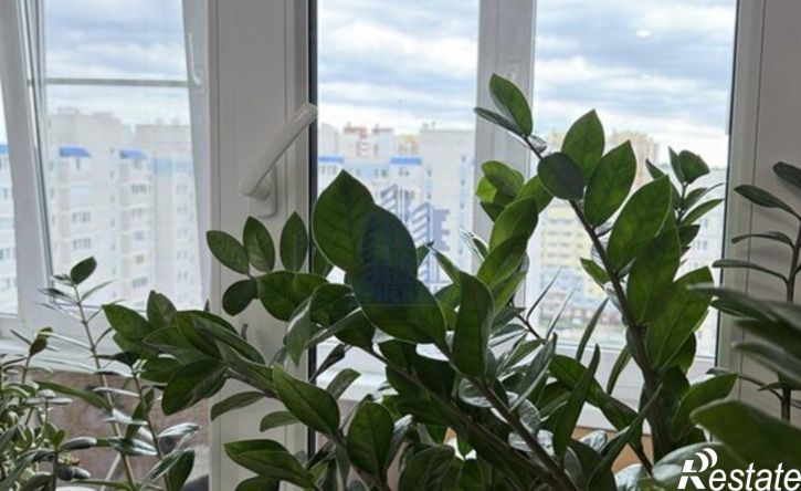1-комн квартира пр-кт Тракторостроителей, 54,  д. 54